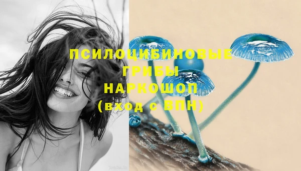 дмт Вязьма