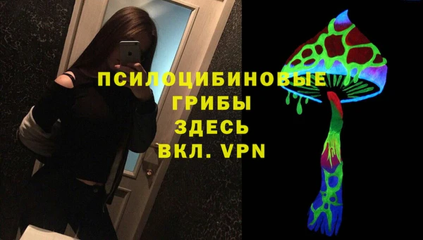 дмт Вязьма