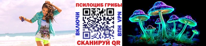 где купить   Шимановск  Псилоцибиновые грибы MAGIC MUSHROOMS 